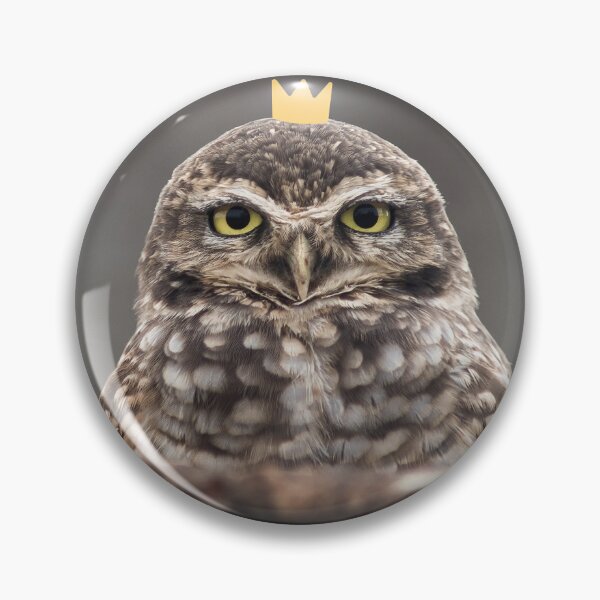 Item preview, Little owl little crown designed and sold by snowyowls.