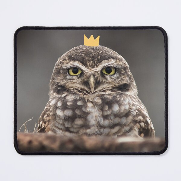 Item preview, Little owl little crown designed and sold by snowyowls.