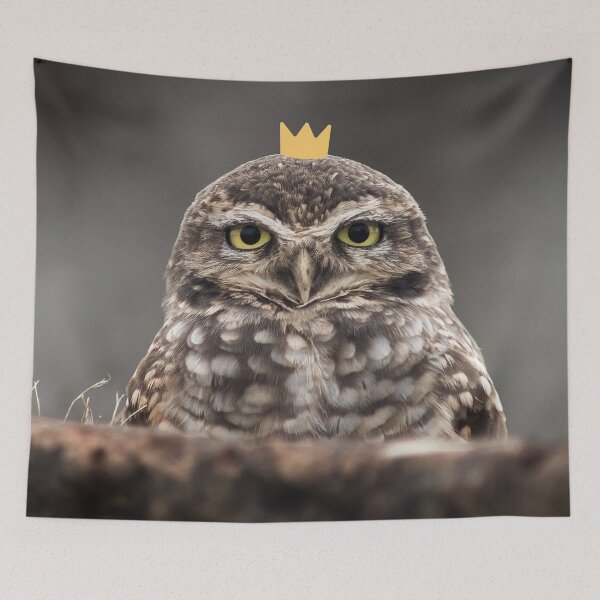Item preview, Little owl little crown designed and sold by snowyowls.