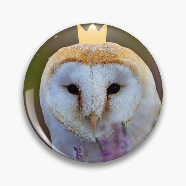 Item preview, Barn owl Princess designed and sold by snowyowls.