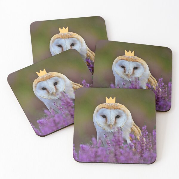 Item preview, Barn owl Princess designed and sold by snowyowls.