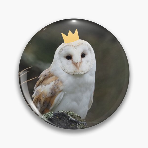 Item preview, Barn owl prince designed and sold by snowyowls.