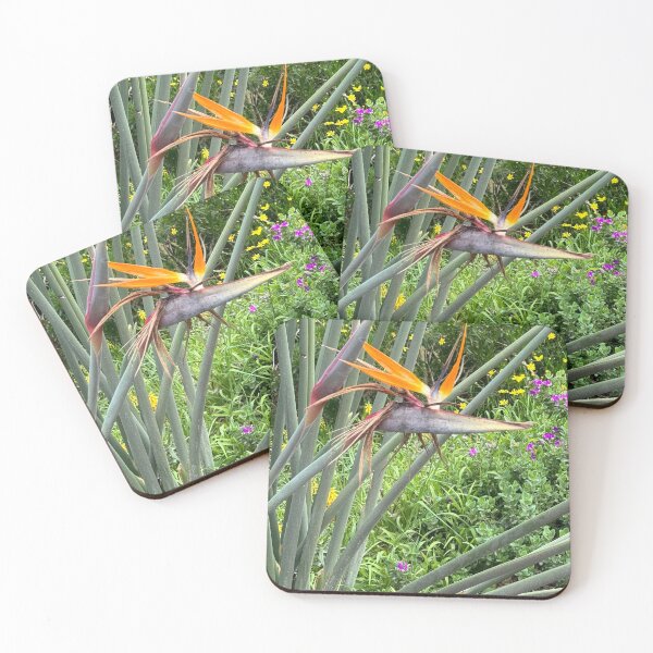 Item preview, Blooming Bird of Paradise  designed and sold by Ruth Jolly.