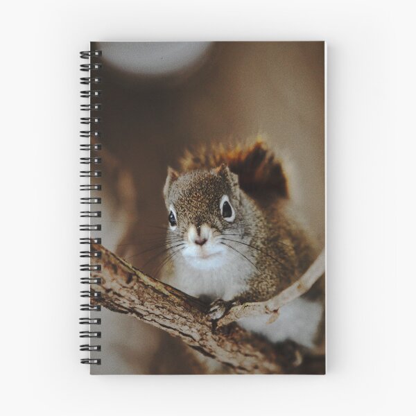 Item preview, Squirrel designed and sold by Picsorama.