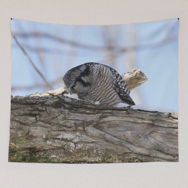 Item preview, Thirsty hawk owl designed and sold by locustgirl.