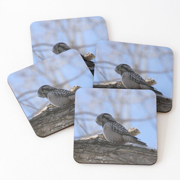 Item preview, Concentration designed and sold by locustgirl.