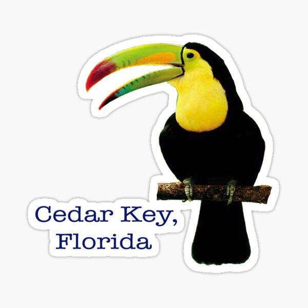 Item preview, Toucan Design, Cedar Key, Florida, Beach Fun, designed and sold by Jobrien58.
