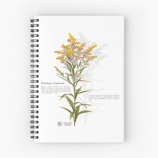 Aperçu de l'œuvre Oeuvre d'illustration verge d'or jaune créée et vendue par Confussable.