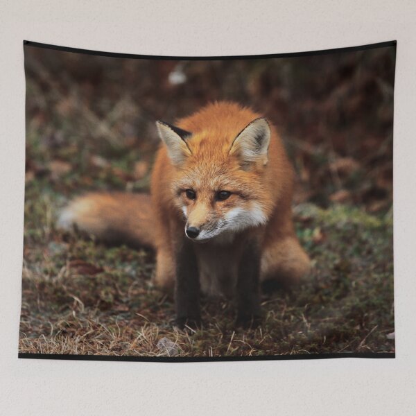 Item preview, Fox designed and sold by Picsorama.