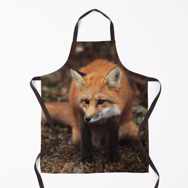 Item preview, Fox designed and sold by Picsorama.