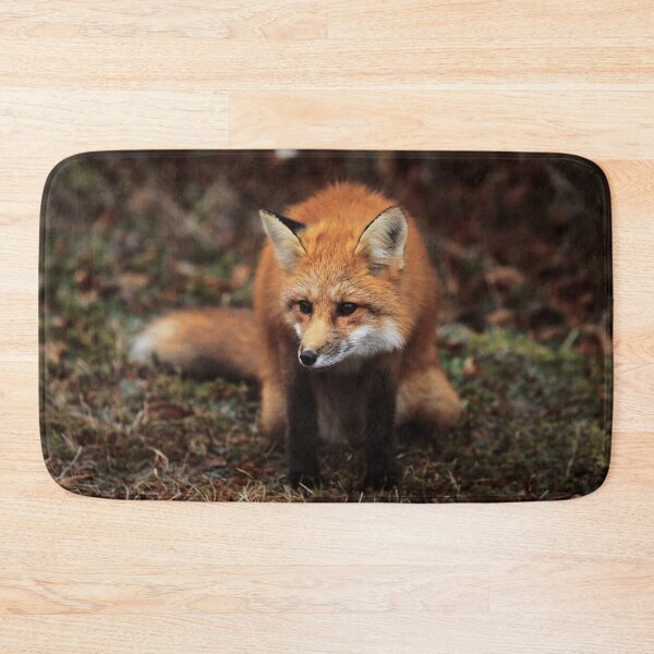 Item preview, Fox designed and sold by Picsorama.