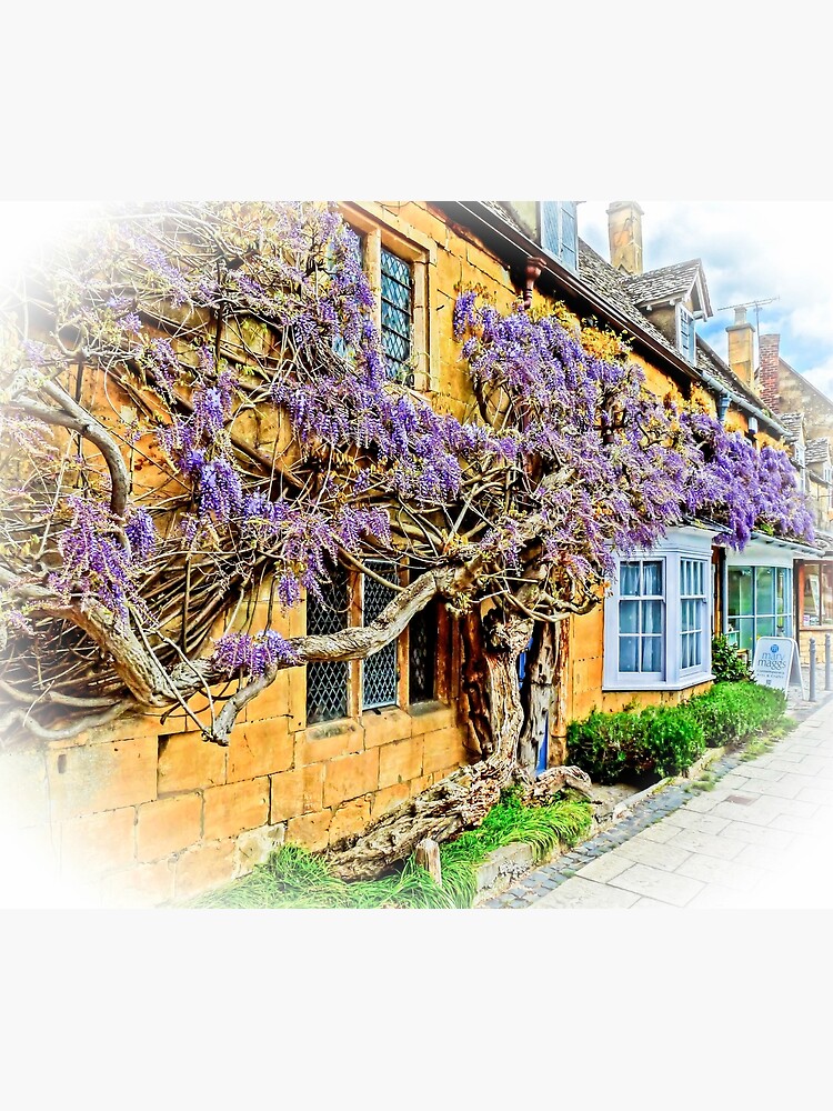 Wisteria Cottage. by ScenicViewPics