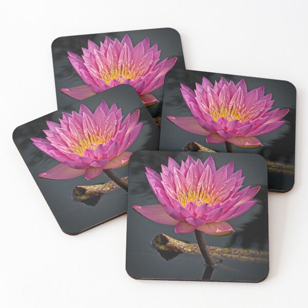 Item preview, pink lily on water designed and sold by photos-by-joel.