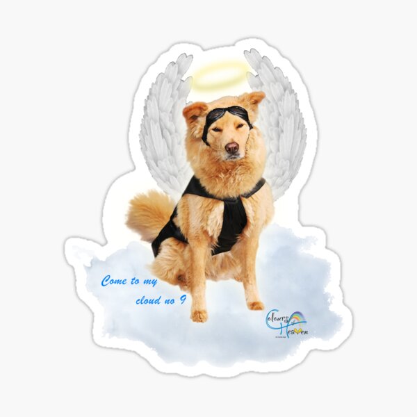 Come to my cloud no 9 Sticker