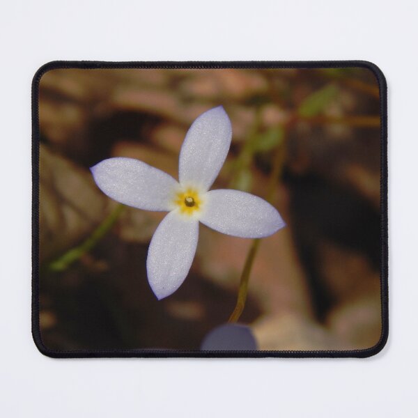 Item preview, Tiny Bluet designed and sold by gistinker.