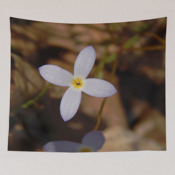 Item preview, Tiny Bluet designed and sold by gistinker.
