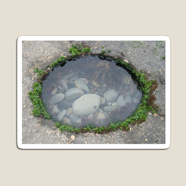 Item preview, Rockpool by the sea designed and sold by YourGoodLife Designs.