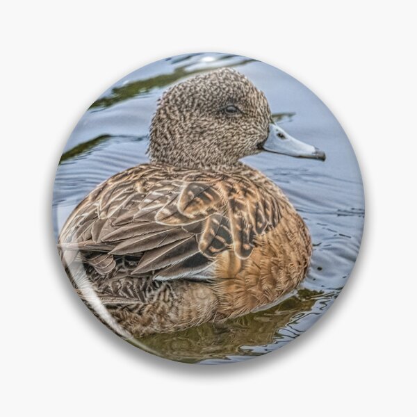 Item preview, Resting and Watchful Wigeon designed and sold by Debra Martz.