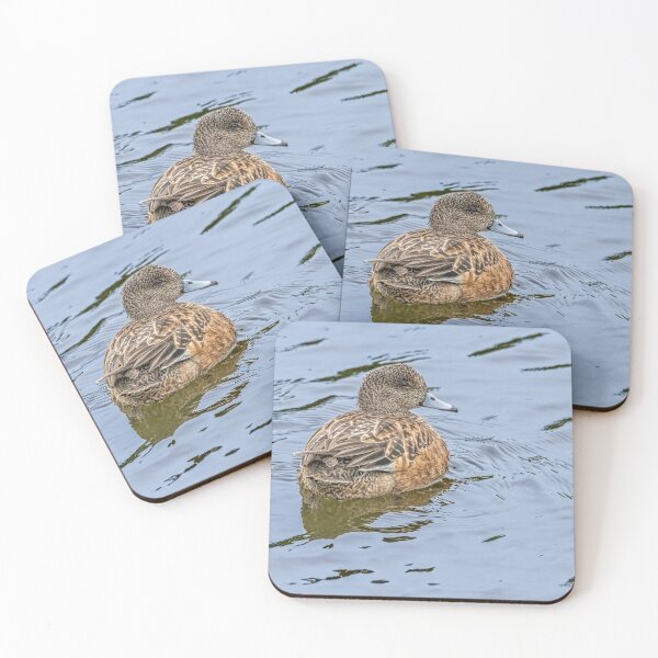 Item preview, Resting and Watchful Wigeon designed and sold by Debra Martz.