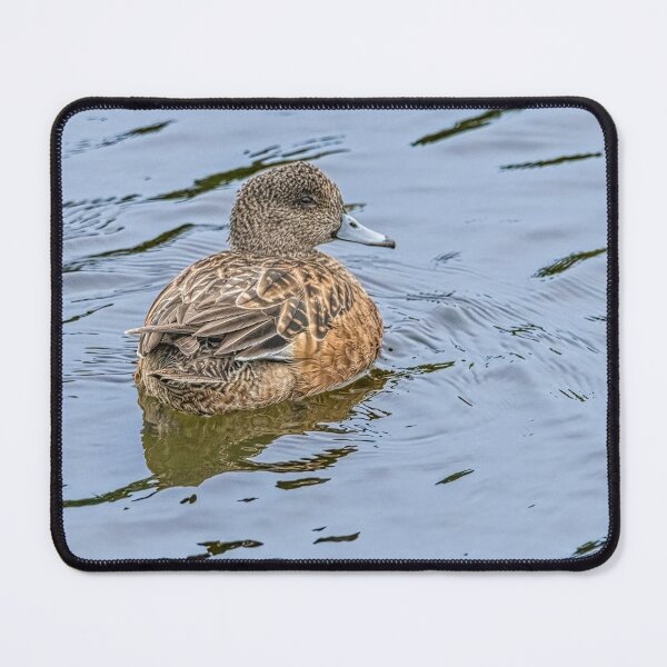 Item preview, Resting and Watchful Wigeon designed and sold by Debra Martz.