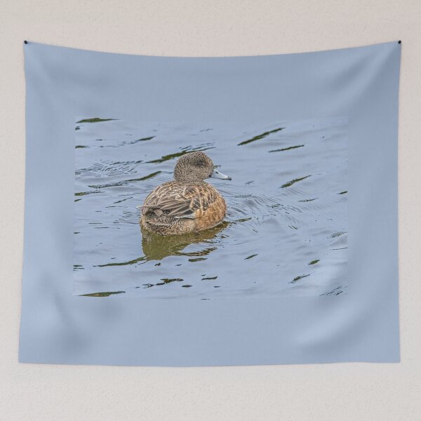 Item preview, Resting and Watchful Wigeon designed and sold by Debra Martz.
