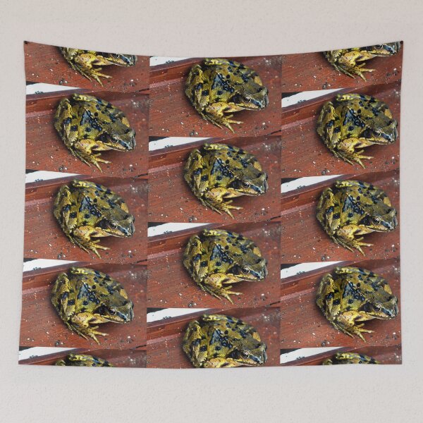 Item preview, Toad at the door.......Lyme Dorset UK designed and sold by lynn carter.