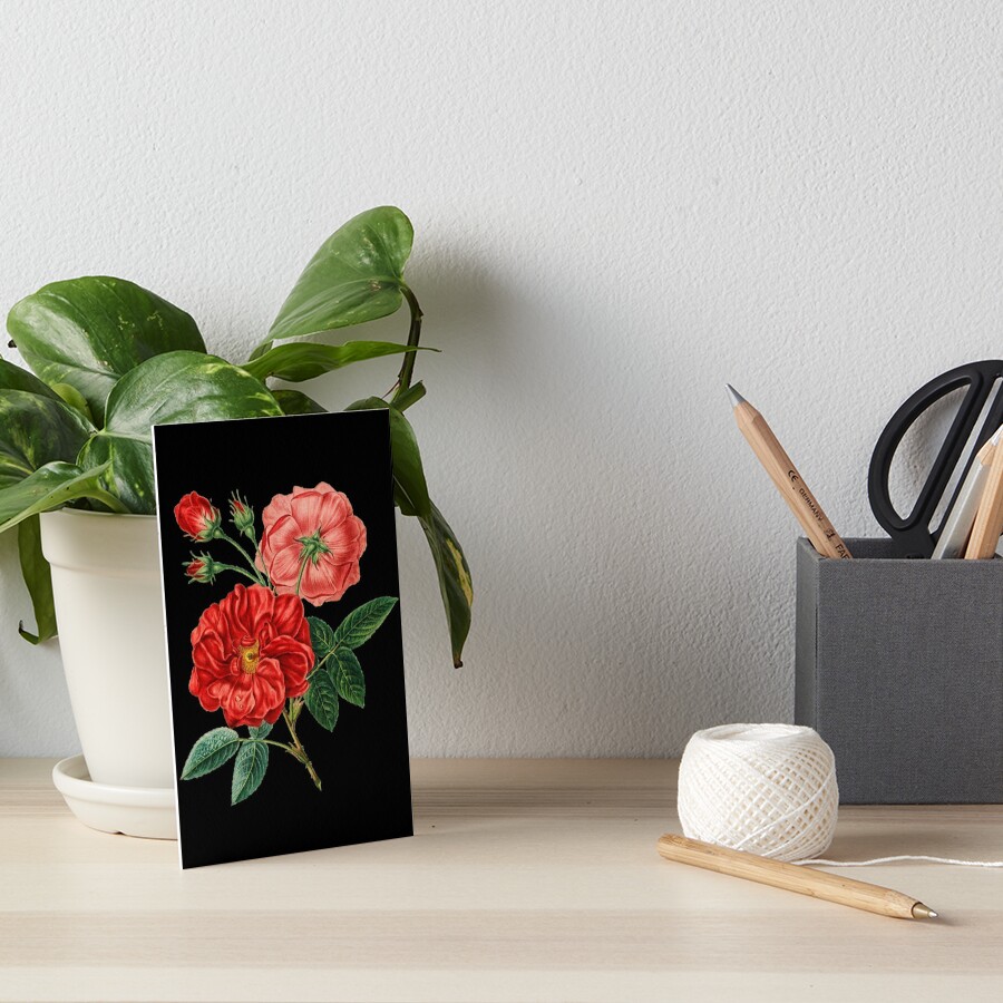 Item preview, Art Board Print designed and sold by Slinky-Reebs.