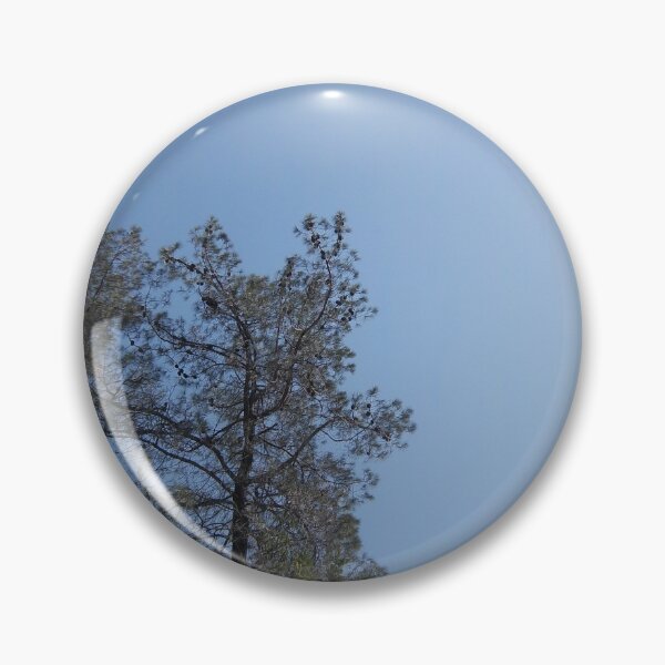 Item preview, Tall thin dark tree with clear blue sky designed and sold by ClaudiasCousin.