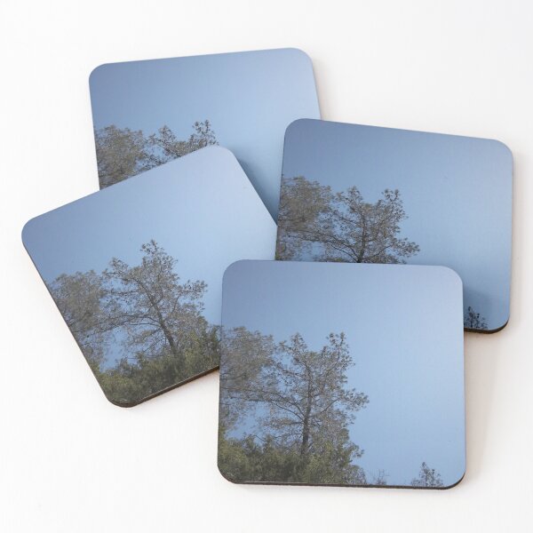 Item preview, Tall thin dark tree with clear blue sky designed and sold by ClaudiasCousin.
