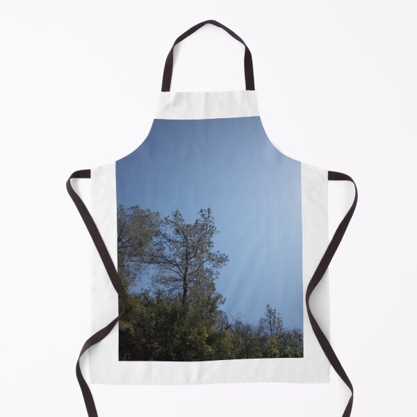 Item preview, Tall thin dark tree with clear blue sky designed and sold by ClaudiasCousin.