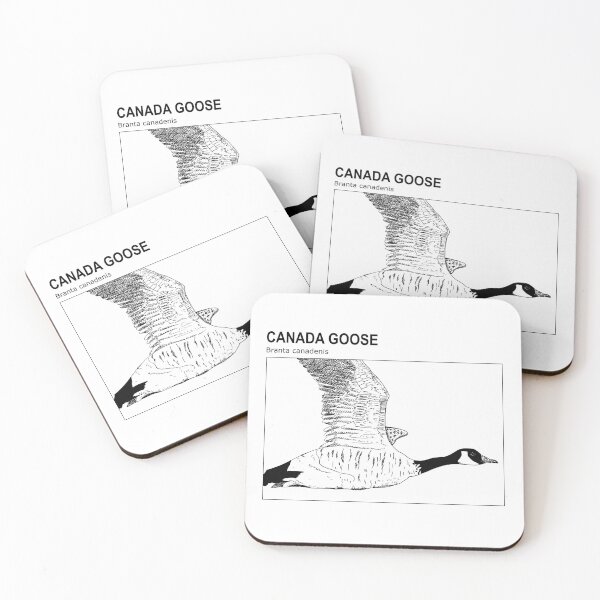 Item preview, Canada goose (english version) - Sketch designed and sold by TheLostBreton.