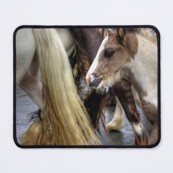 Item preview, Foal at the Appleby Horse Fair designed and sold by tomg.
