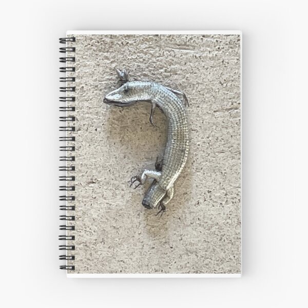 Item preview, Photograph of a skink designed and sold by ClaudiasCousin.