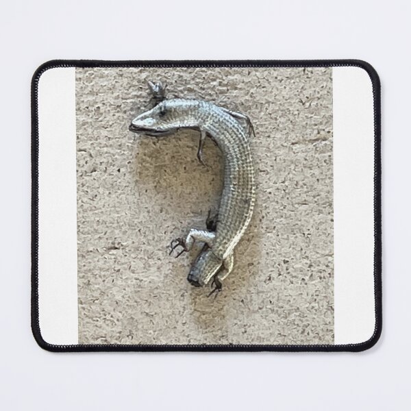 Item preview, Photograph of a skink designed and sold by ClaudiasCousin.
