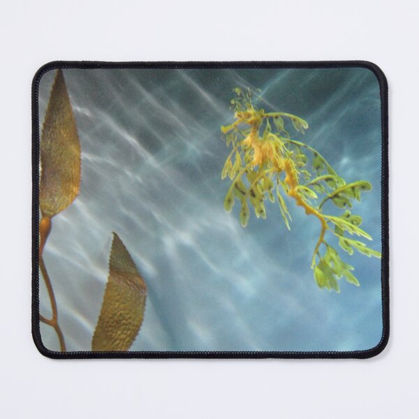Item preview, Seaweed Seahorse with Light Reflections  designed and sold by JoyousArt4u.