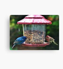 Food Fight Canvas Print