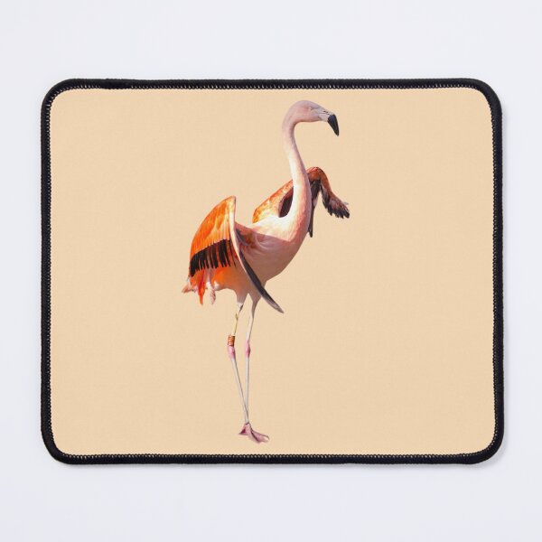 Item preview, Lovely Flamingo designed and sold by RainbowSpinkle.