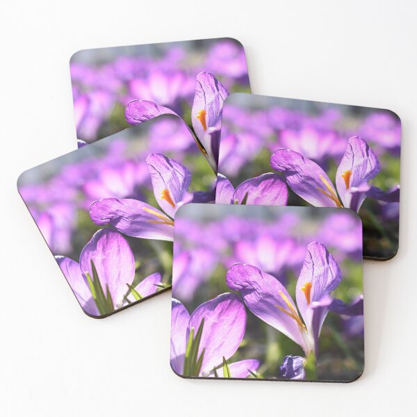 Item preview, Withered Crocus in the purple sea designed and sold by dickesSchaf.
