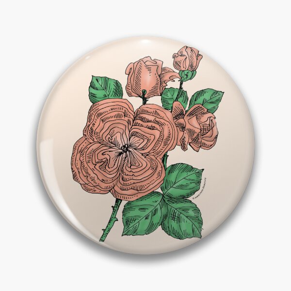 Item preview, Apricot Quartered Rose Bloom Full 26-40 Petals In 3+ Rows designed and sold by Rachael Taylor.