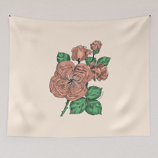Item preview, Apricot Quartered Rose Bloom Full 26-40 Petals In 3+ Rows designed and sold by Rachael Taylor.