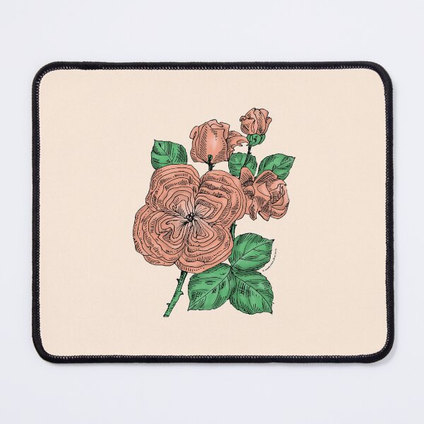 Item preview, Apricot Quartered Rose Bloom Full 26-40 Petals In 3+ Rows designed and sold by Rachael Taylor.