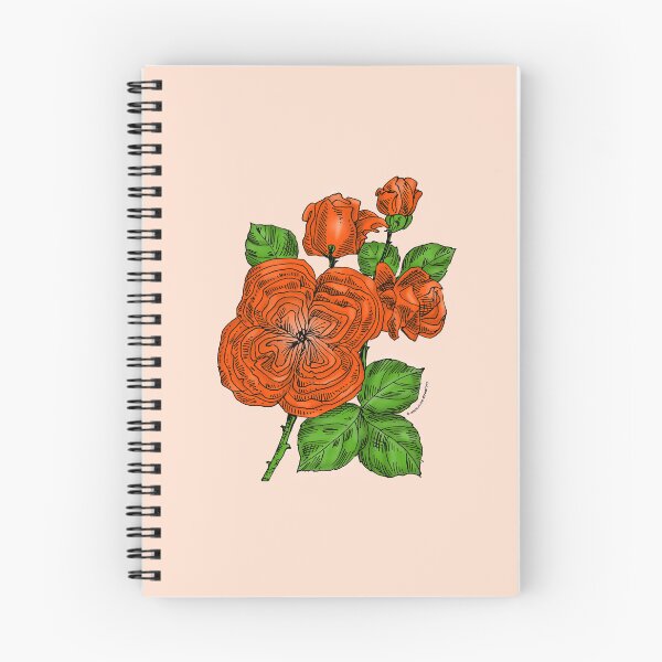Item preview, Orange Quartered Rose Bloom Full 26-40 Petals In 3+ Rows designed and sold by Rachael Taylor.