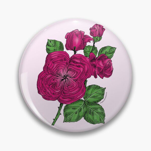 Item preview, Deep Pink Quartered Rose Bloom Full 26-40 Petals In 3+ Rows designed and sold by Rachael Taylor.