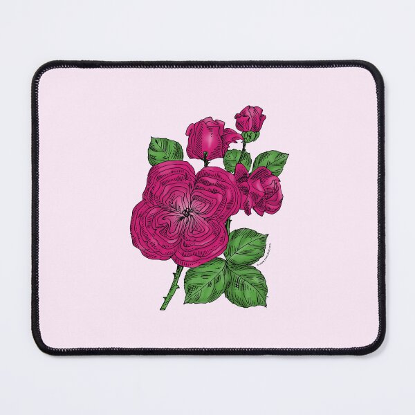 Item preview, Deep Pink Quartered Rose Bloom Full 26-40 Petals In 3+ Rows designed and sold by Rachael Taylor.