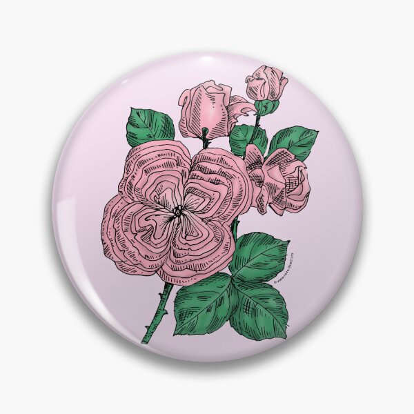 Item preview, Light Pink Quartered Rose Bloom Full 26-40 Petals In 3+ Rows designed and sold by Rachael Taylor.