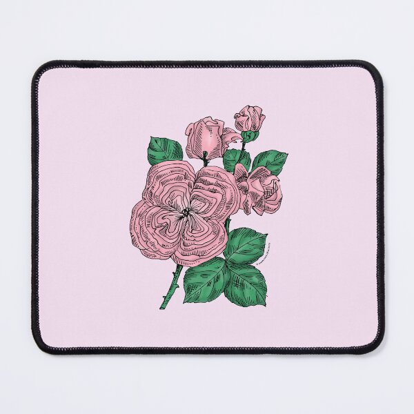 Item preview, Light Pink Quartered Rose Bloom Full 26-40 Petals In 3+ Rows designed and sold by Rachael Taylor.