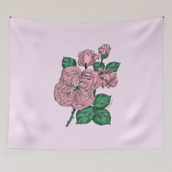Item preview, Light Pink Quartered Rose Bloom Full 26-40 Petals In 3+ Rows designed and sold by Rachael Taylor.