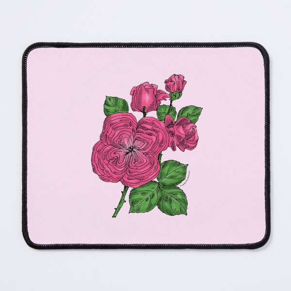 Item preview, Mid Pink Quartered Rose Bloom Full 26-40 Petals In 3+ Rows designed and sold by Rachael Taylor.