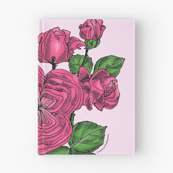 Item preview, Mid Pink Quartered Rose Bloom Full 26-40 Petals In 3+ Rows designed and sold by Rachael Taylor.