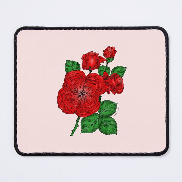 Item preview, Bright Red Quartered Rose Bloom Full 26-40 Petals In 3+ Rows designed and sold by Rachael Taylor.